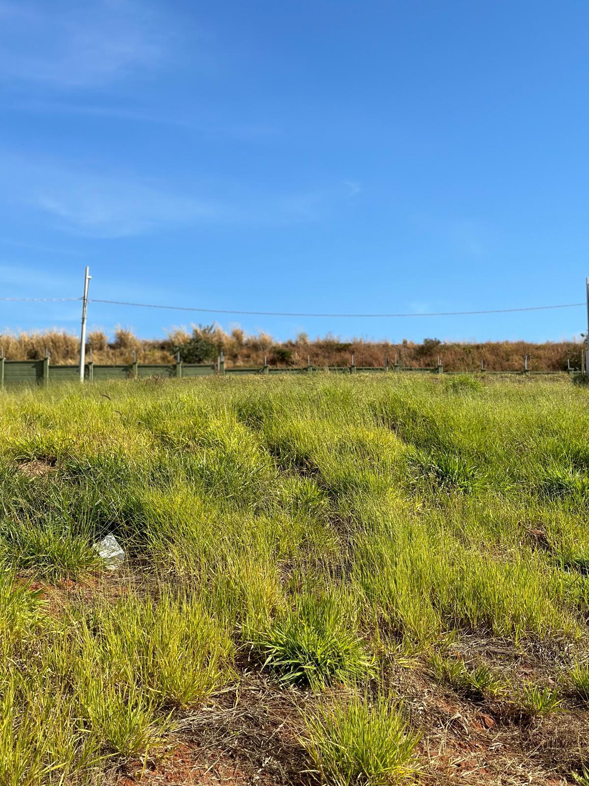 Lote/Terreno à venda em Granja Marileusa, Uberlândia — foto 2