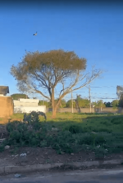 Foto de Lote/Terreno em Jardim Ipanema, Uberlândia - MG