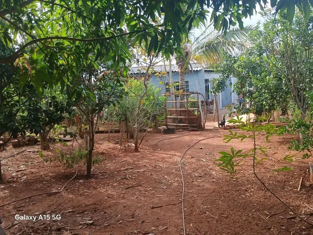 Chácara à venda em Distrito Industrial, Uberlândia — foto 3