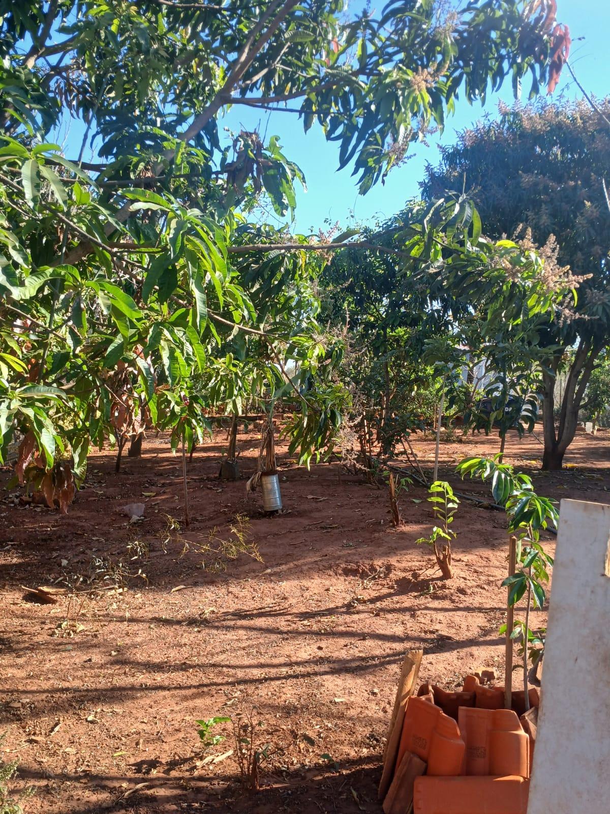 Chácara à venda em Distrito Industrial, Uberlândia — foto 4